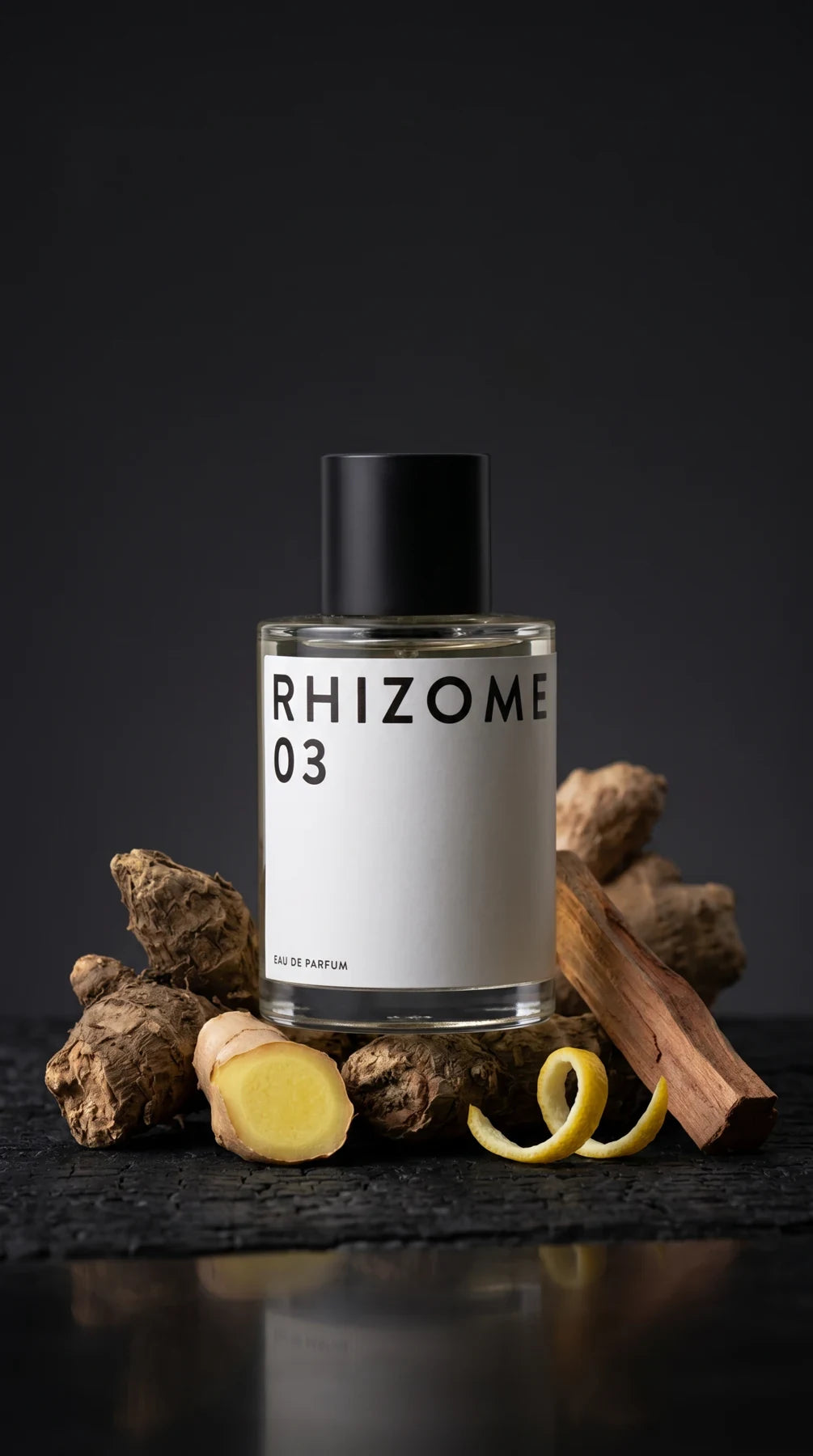 RHIZOME 03