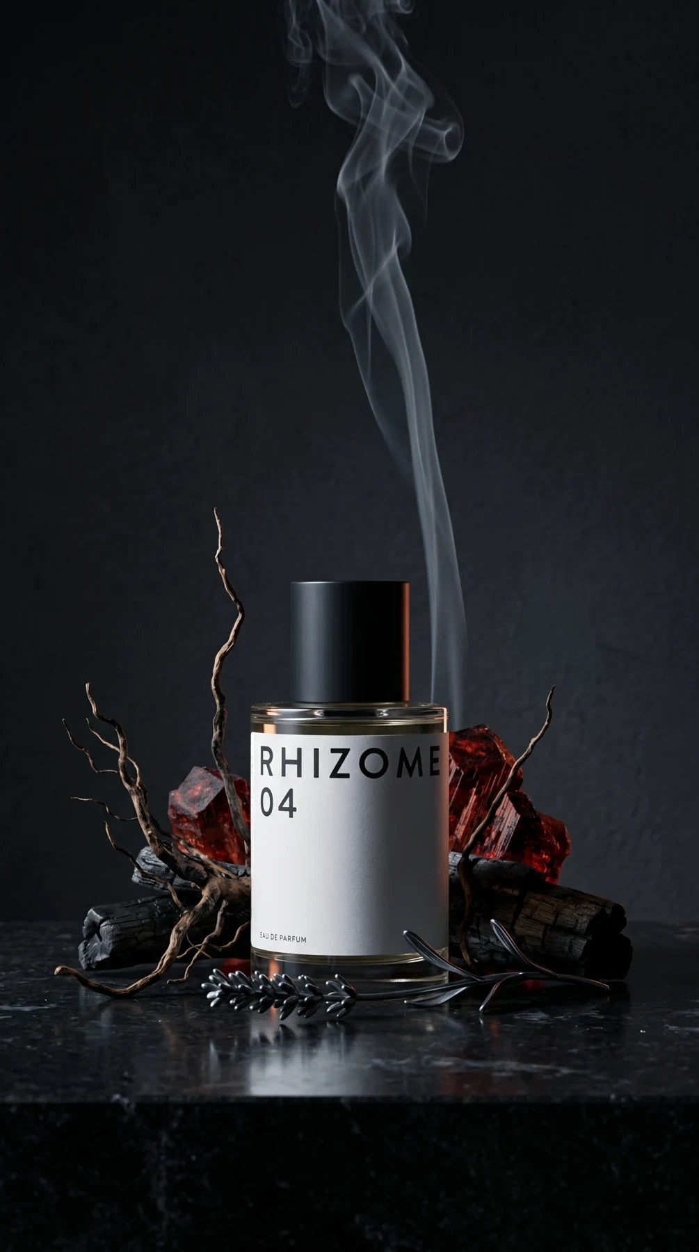 RHIZOME 04