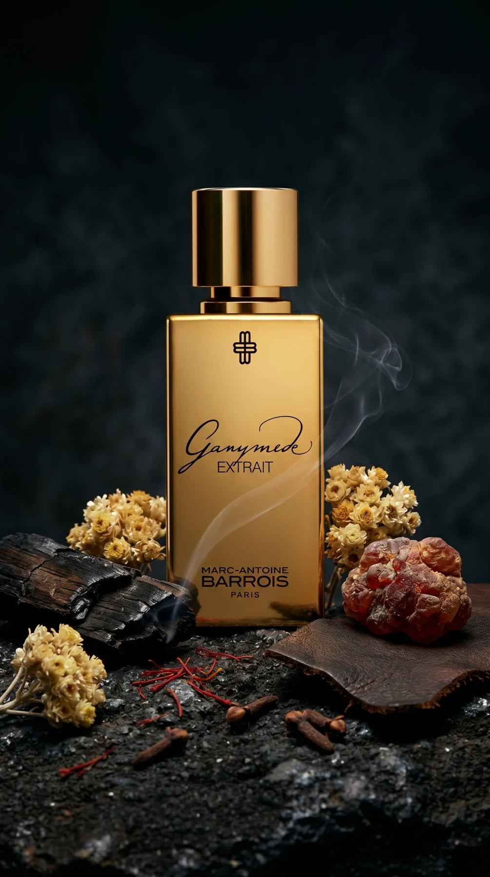 Marc-Antoine Barrois GANYMEDE EXTRAIT